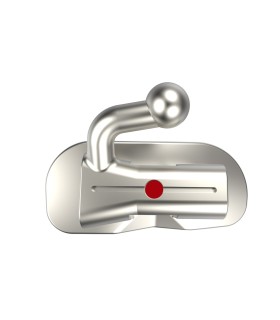 TUBI DIRETTI QUEEN 1° MOLARE - SING. NON CONVERTIBILE EDGEWISE Slot.018