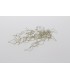 LEGATURE CORTE COLORE DEL DENTE